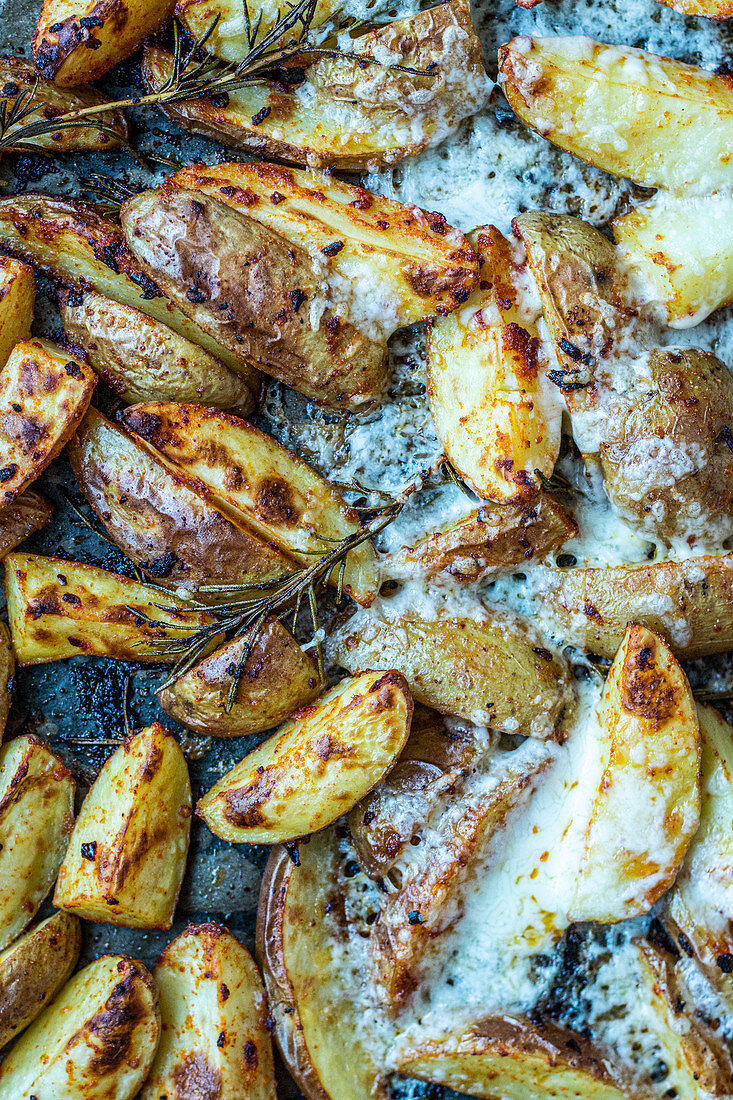 Cheese potatoes with rosemary in a baking tray