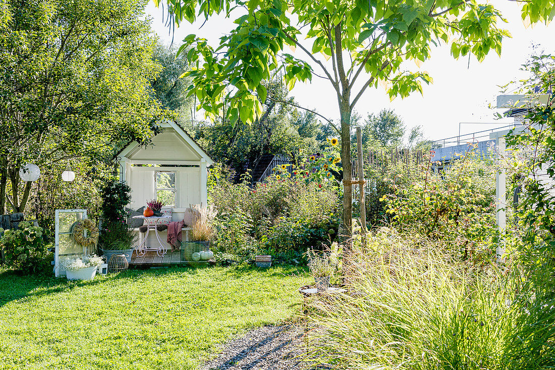 Arbour in late-summer garden