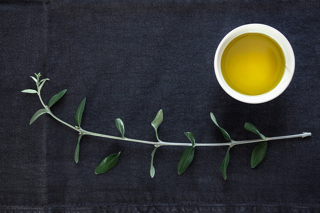 Stilleben mit Olivenöl und Olivenzweig