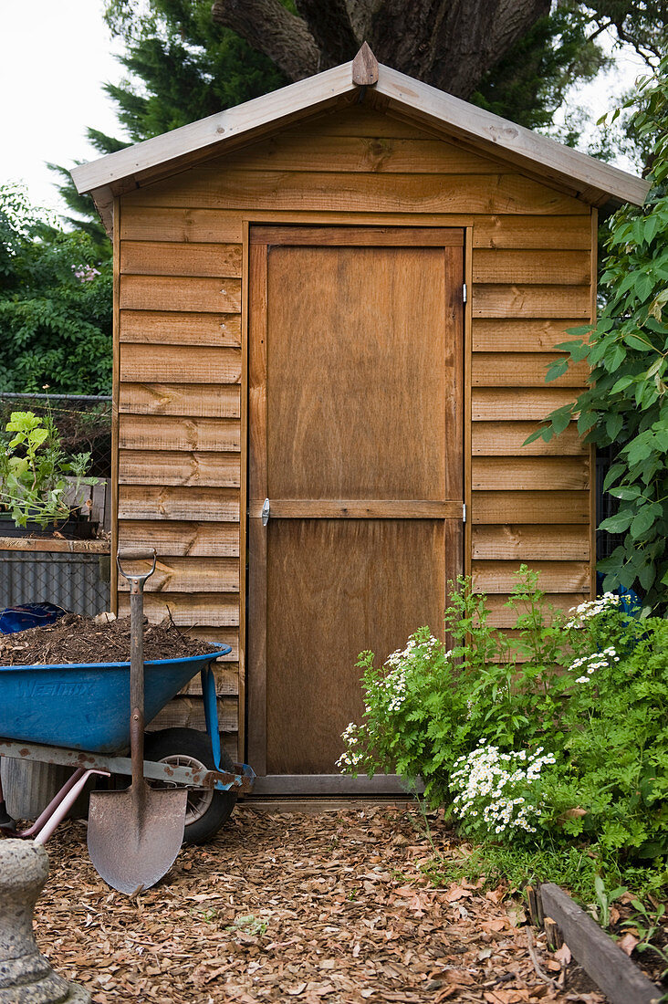 Wooden garden shed, spade and wheelbarrow of soil