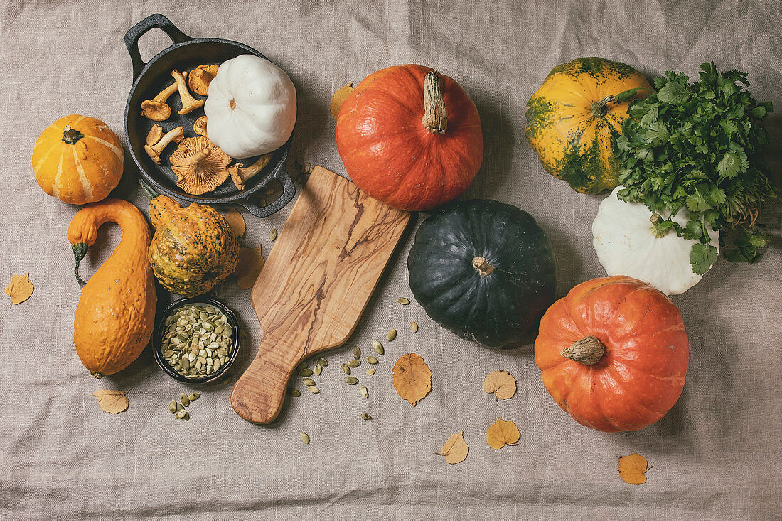 Variety of colorful pumpkins, edible and decorative, with autumn leaves, oregano greens, chanterelles mushrooms and pumpkin seeds
