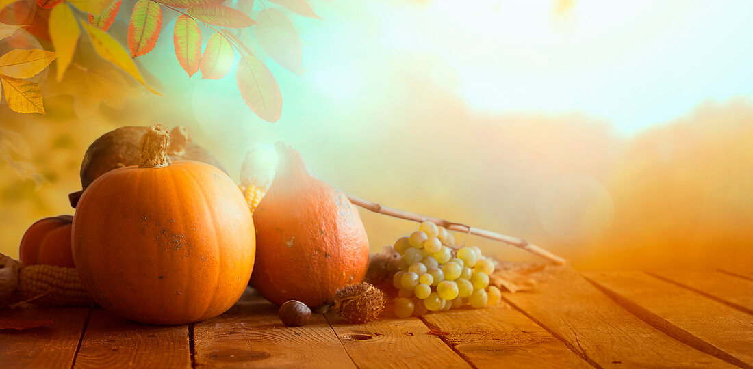 Herbststilleben mit Kürbissen, Kastanien und Trauben