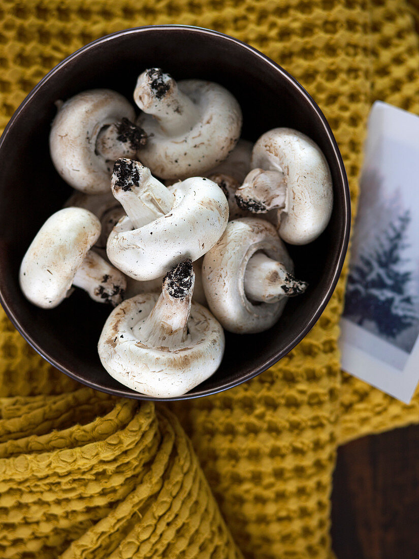 Champignons in braunem Schälchen