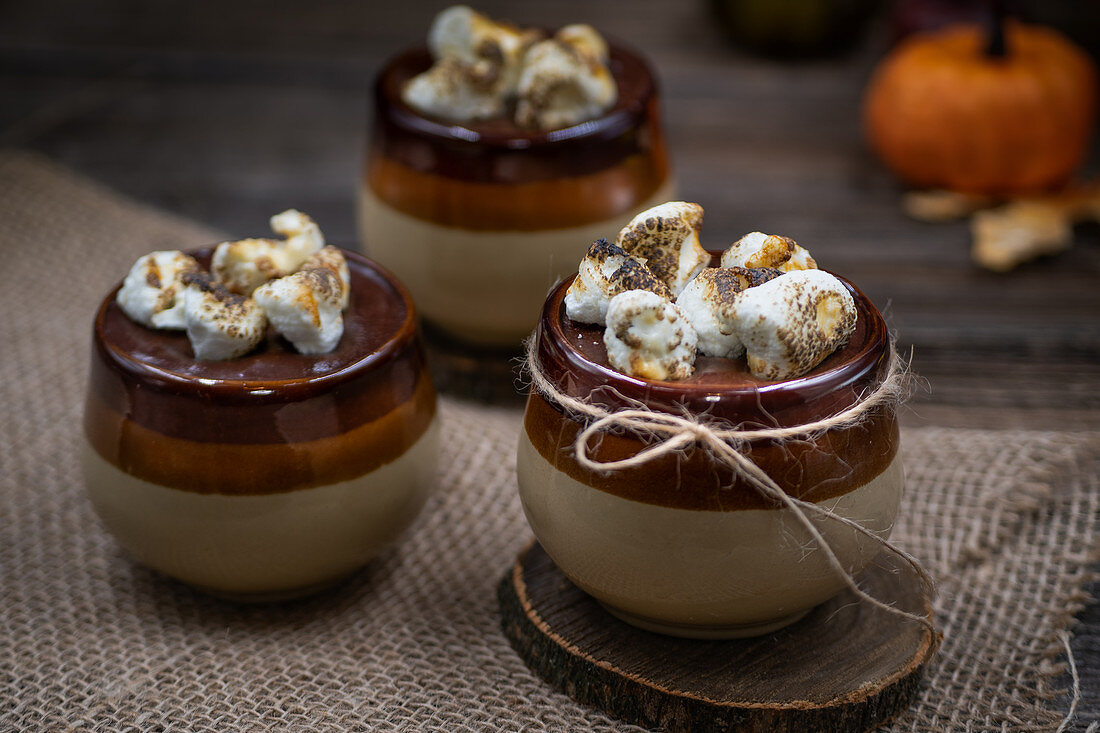 Pumpkin pie topped with ganache and smores