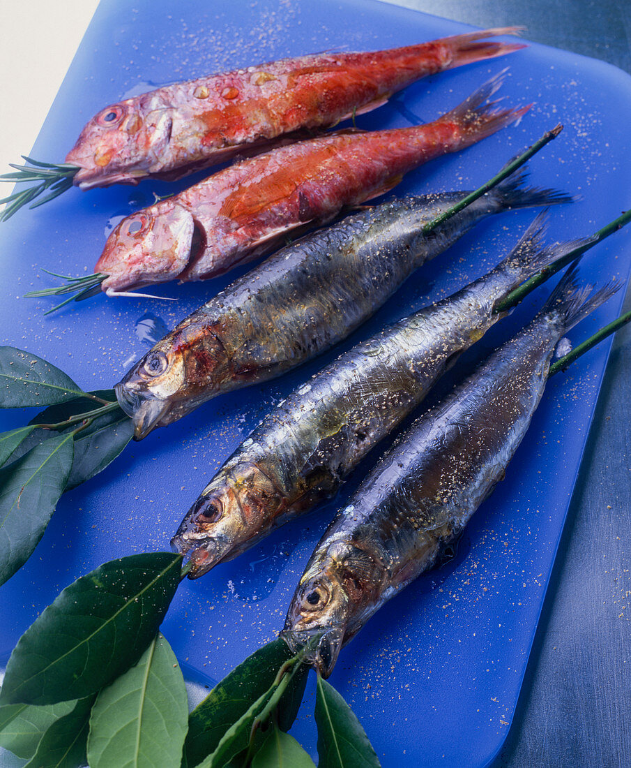Sardines and red mullet for grilling