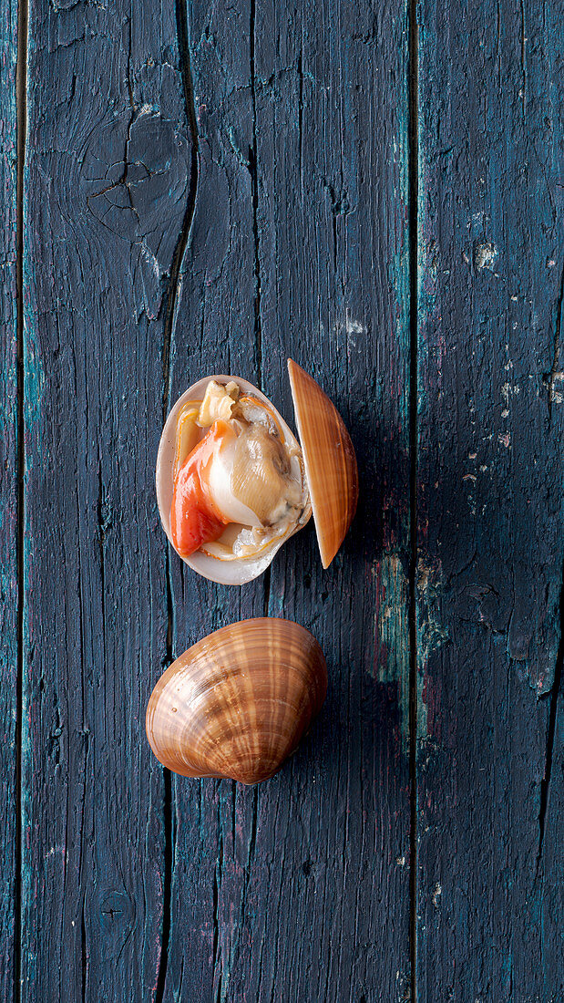 Frische Venusmuscheln, geschlossen und geöffnet