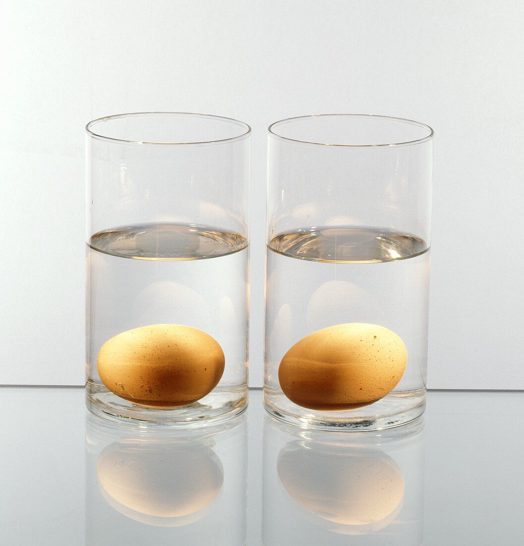 Ei im Wasserglas, ganz frisch & nach 1 Woche (Frischetest)