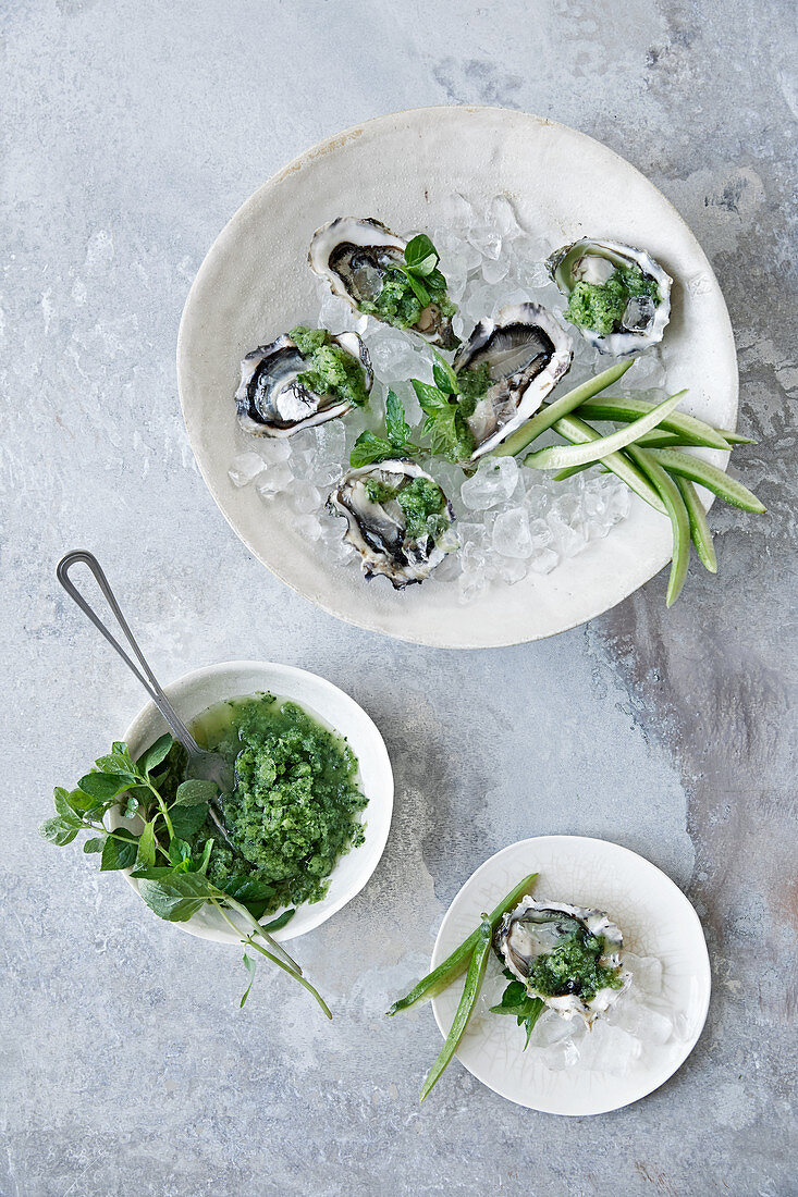 Oysters with cucumber granita and mint