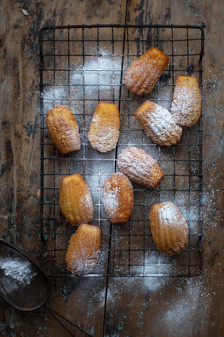 Madeleines with icing sugar on a wire rack