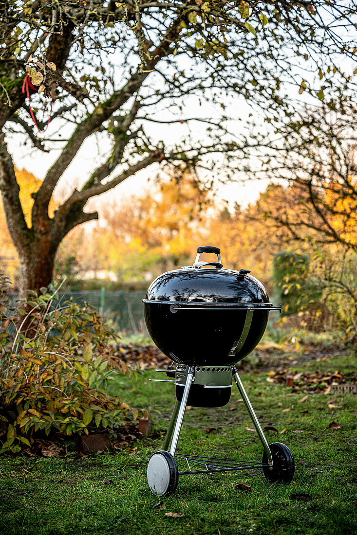 A kettle grill in an autumnal meadow by a lake