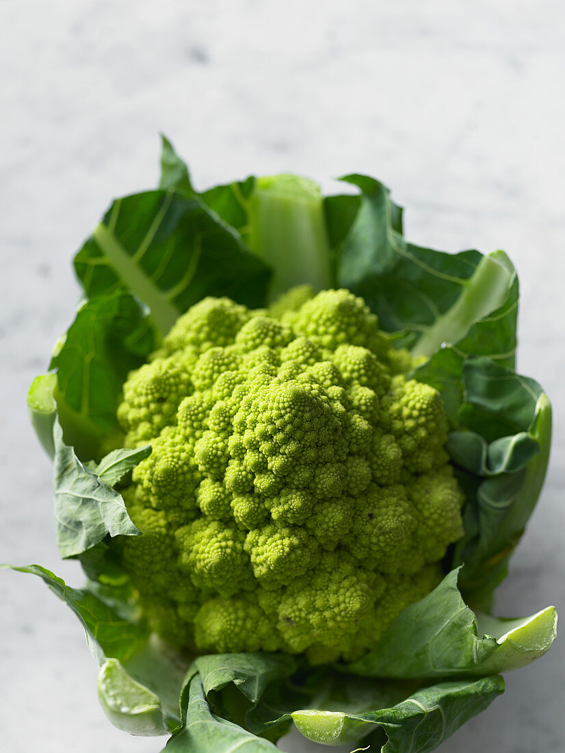 Frischer Romanesco