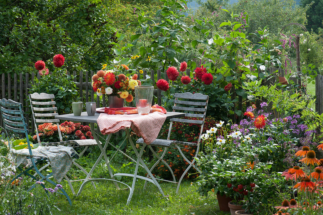 Sitzplatz am Beet mit Dahlien, Dahlienstrauß auf dem Tisch