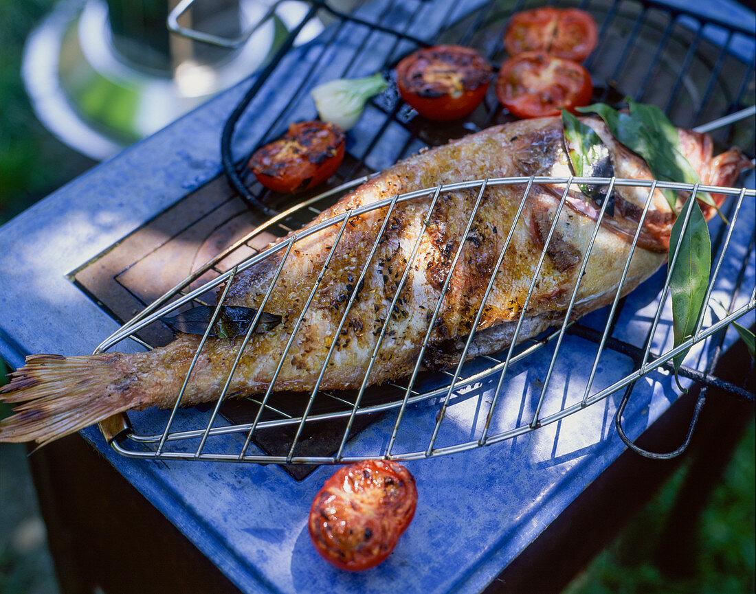 Grilled sea bream with tomatoes