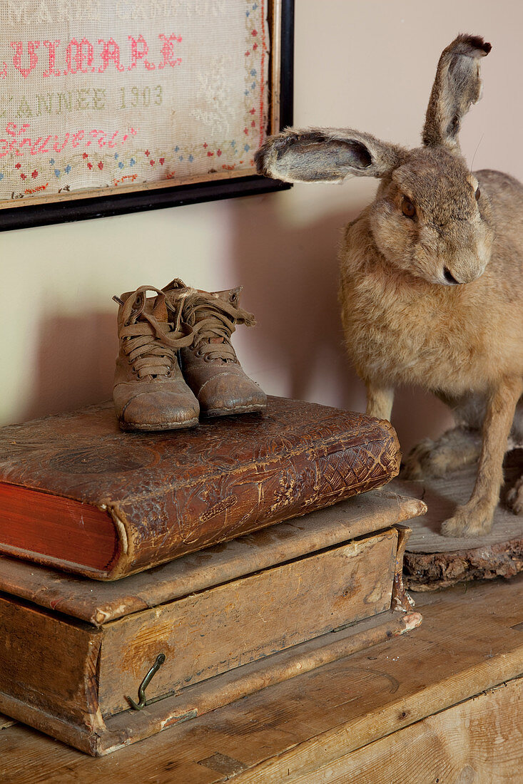 Antike Bücher und Schuhe neben ausgestopfter Hase auf Kommode