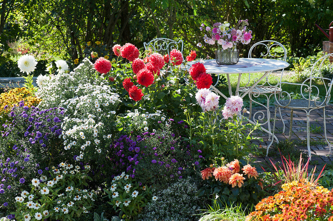 Sitzgruppe am Beet mit Herbstastern, Dahlien und Zinnien