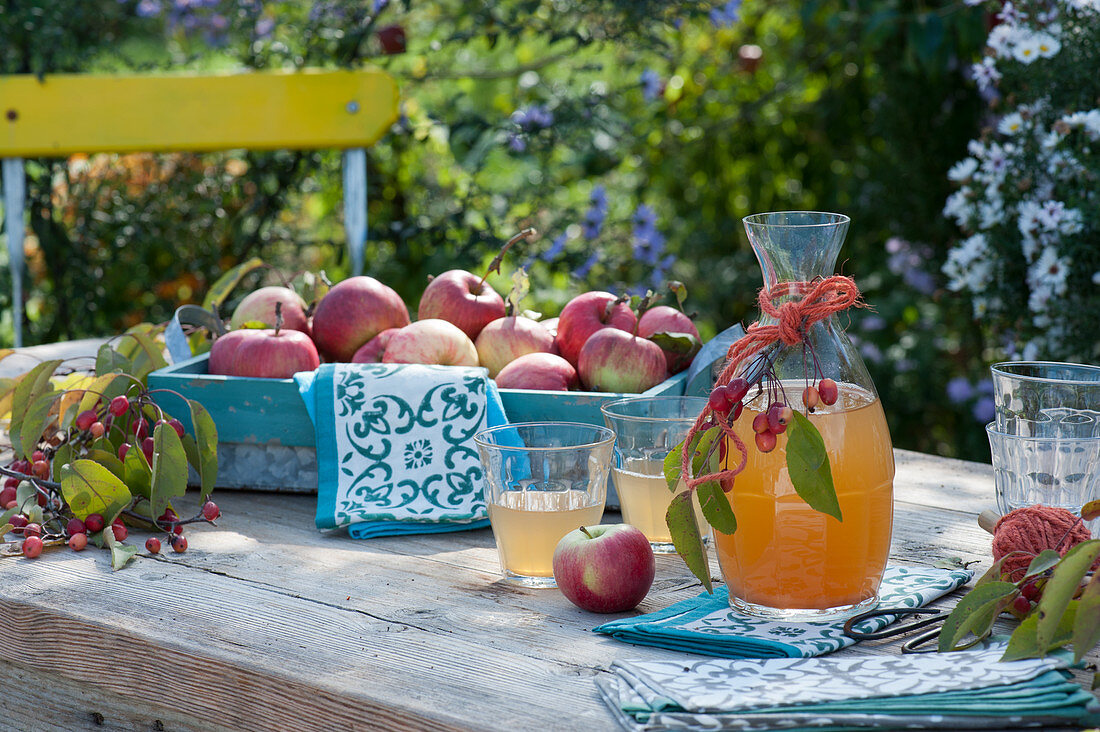 Tray with freshly picked apples, decanter, and glasses with apple juice, ornamental apples as decoration