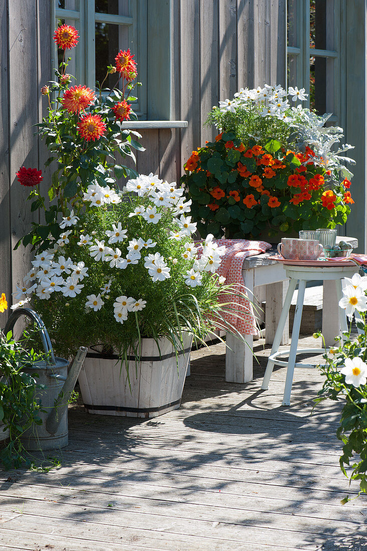 Terrace with summer flowers: decorative baskets, nasturtiums and dahlias