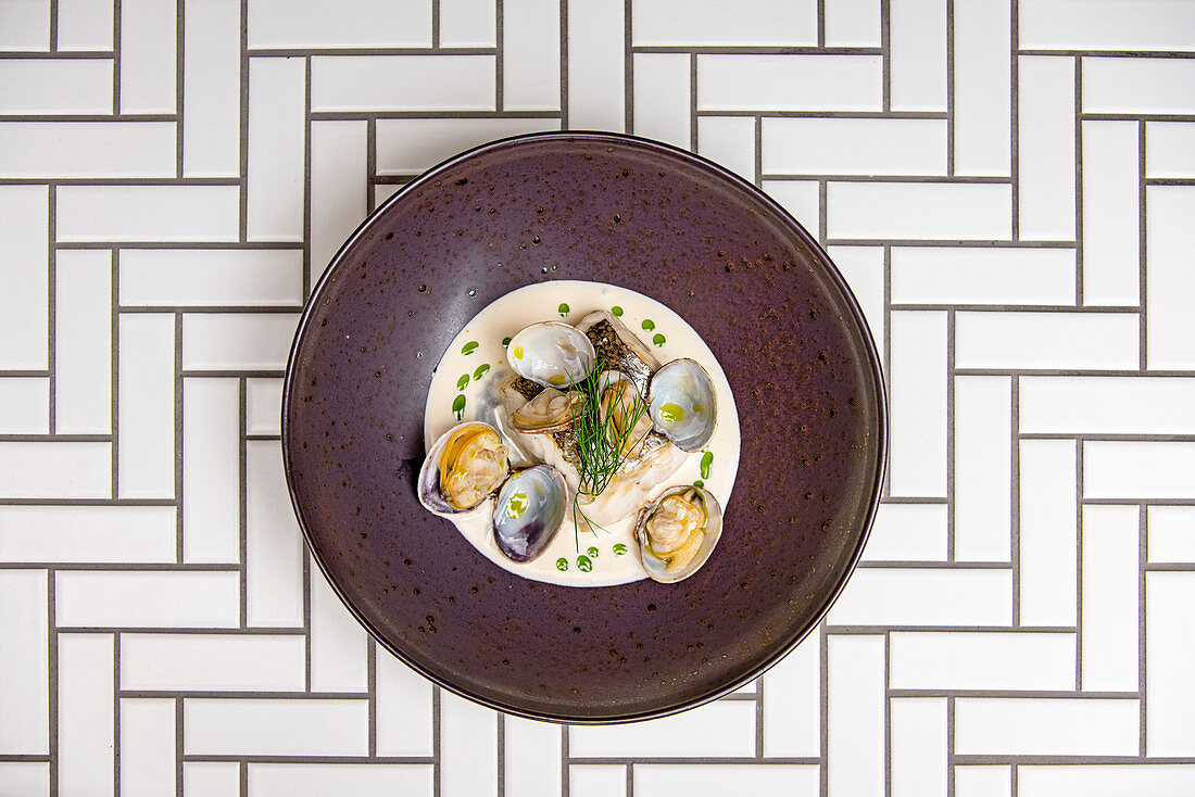 Roasted hake with clams, cider sauce and dill oil