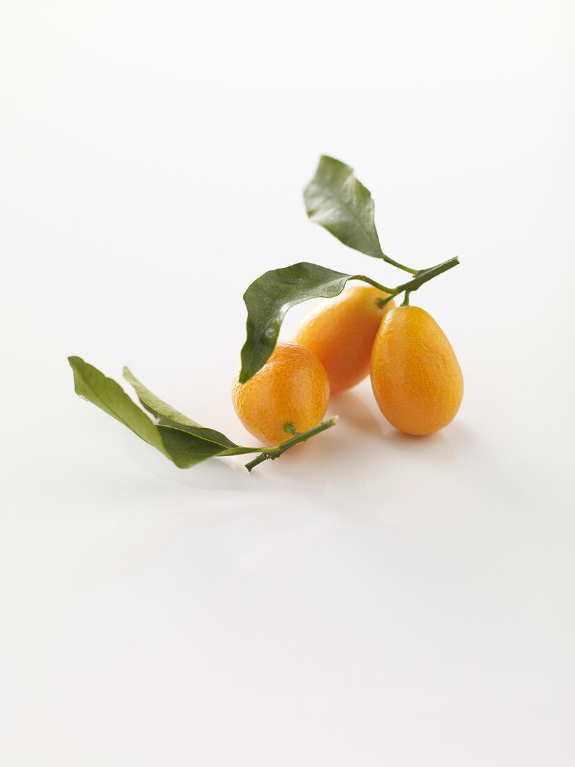 Kumquat mit Blatt