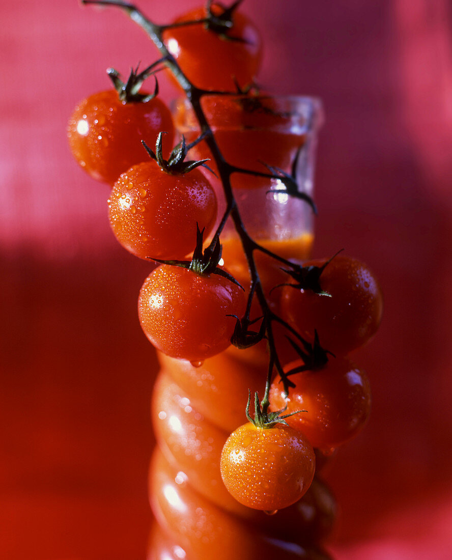 Rispentomaten, dahinter eine Flasche Tomatensaft