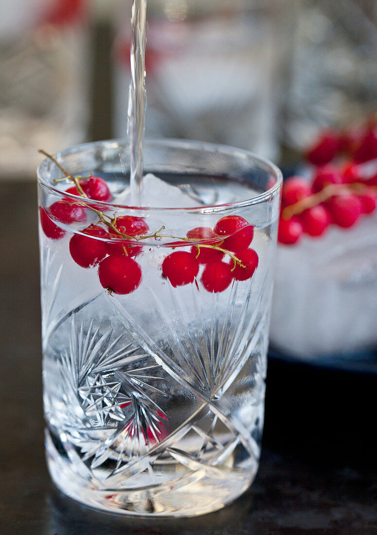 A vodka soda cocktail with frozen red currants