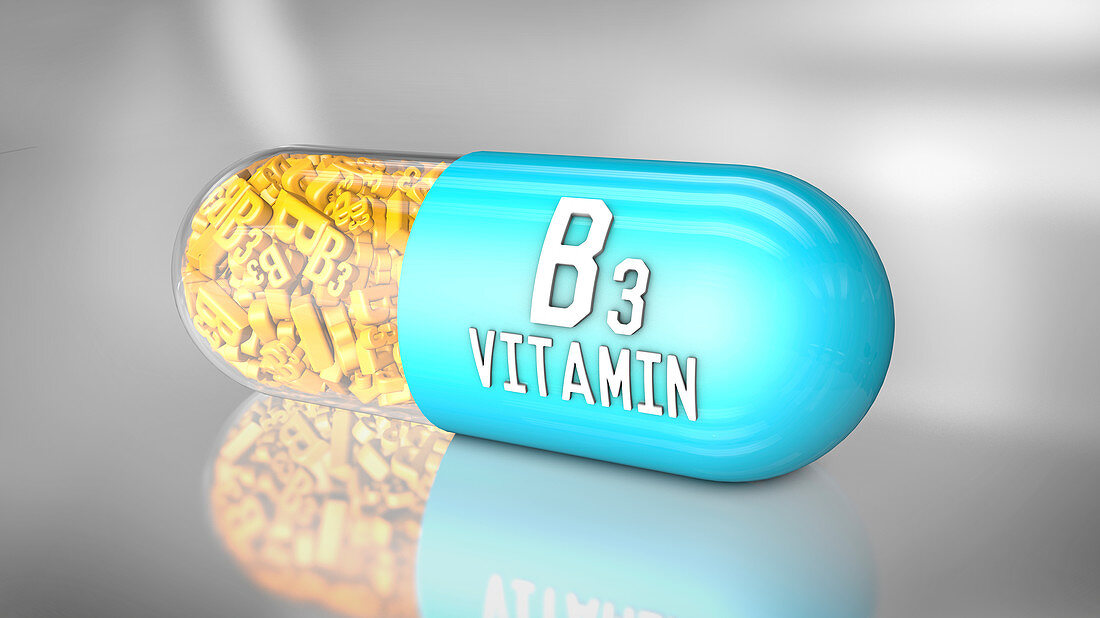 Vitamin B3 capsule, illustration
