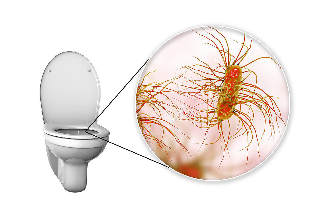Toilet microbes, conceptual illustration