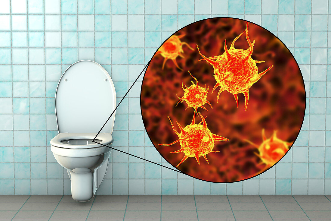 Toilet microbes, conceptual illustration