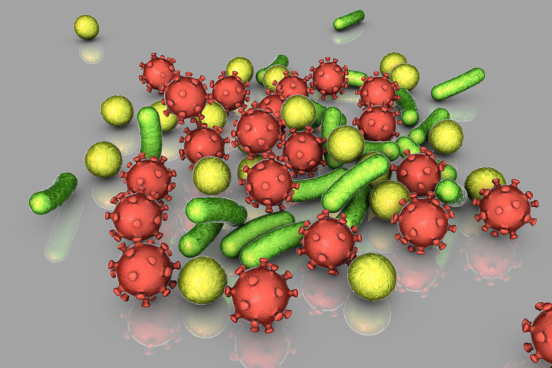 Bacteria and viruses, illustration