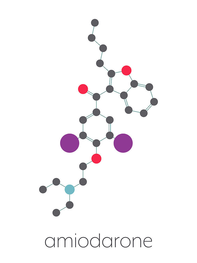 Amiodarone antiarrhythmic drug, molecular model