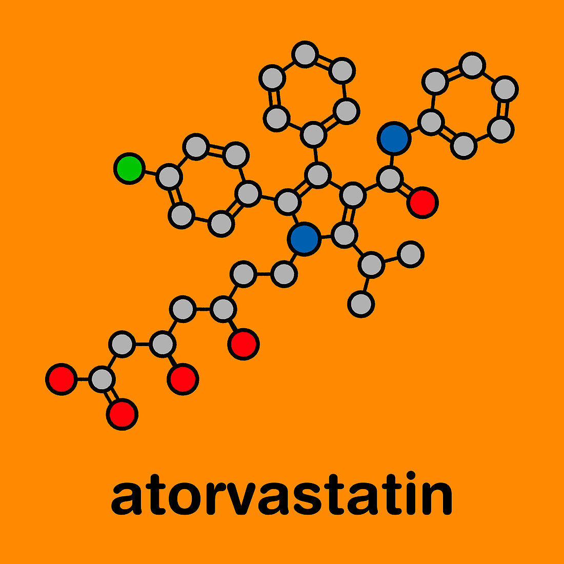 Atorvastatin cholesterol lowering drug, molecular model