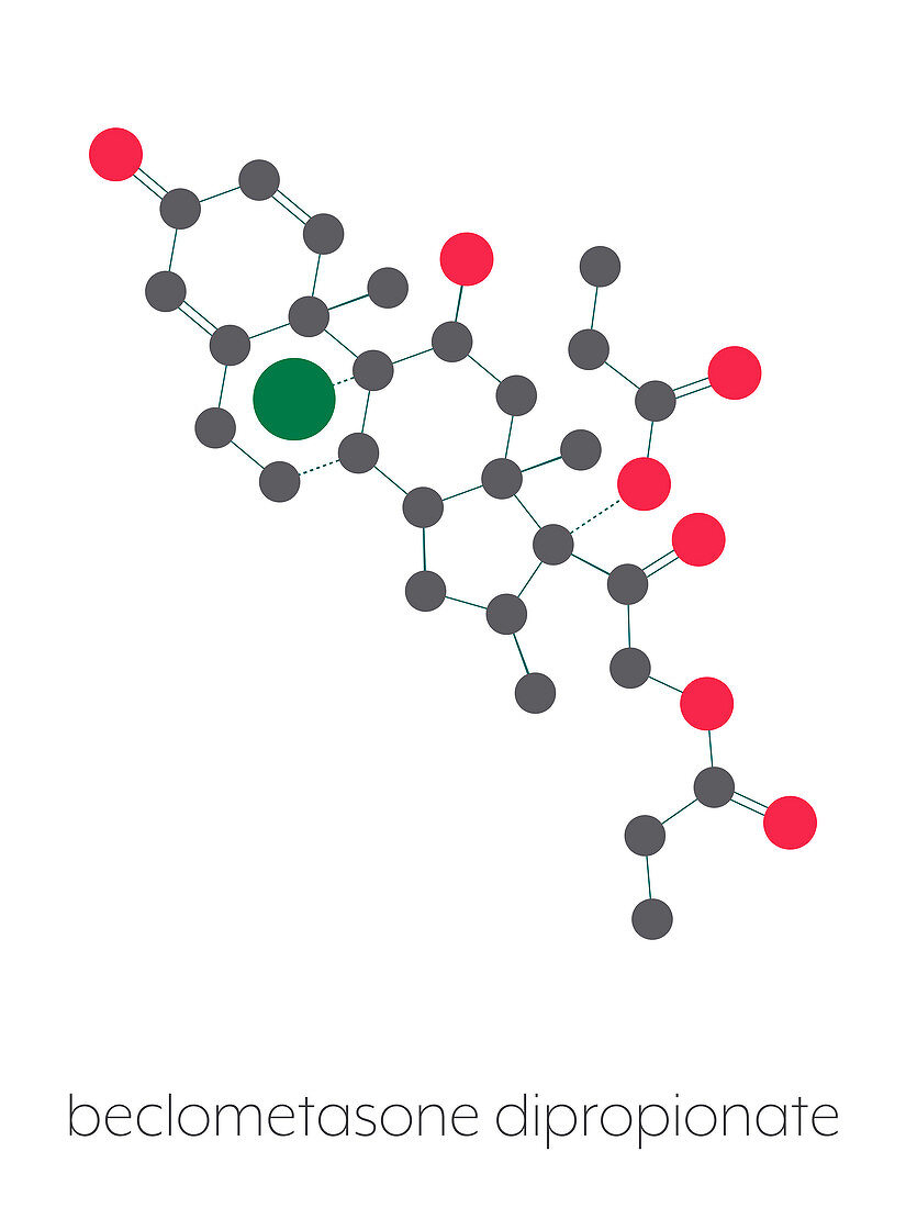 Beclometasone glucocorticoid drug, molecular model