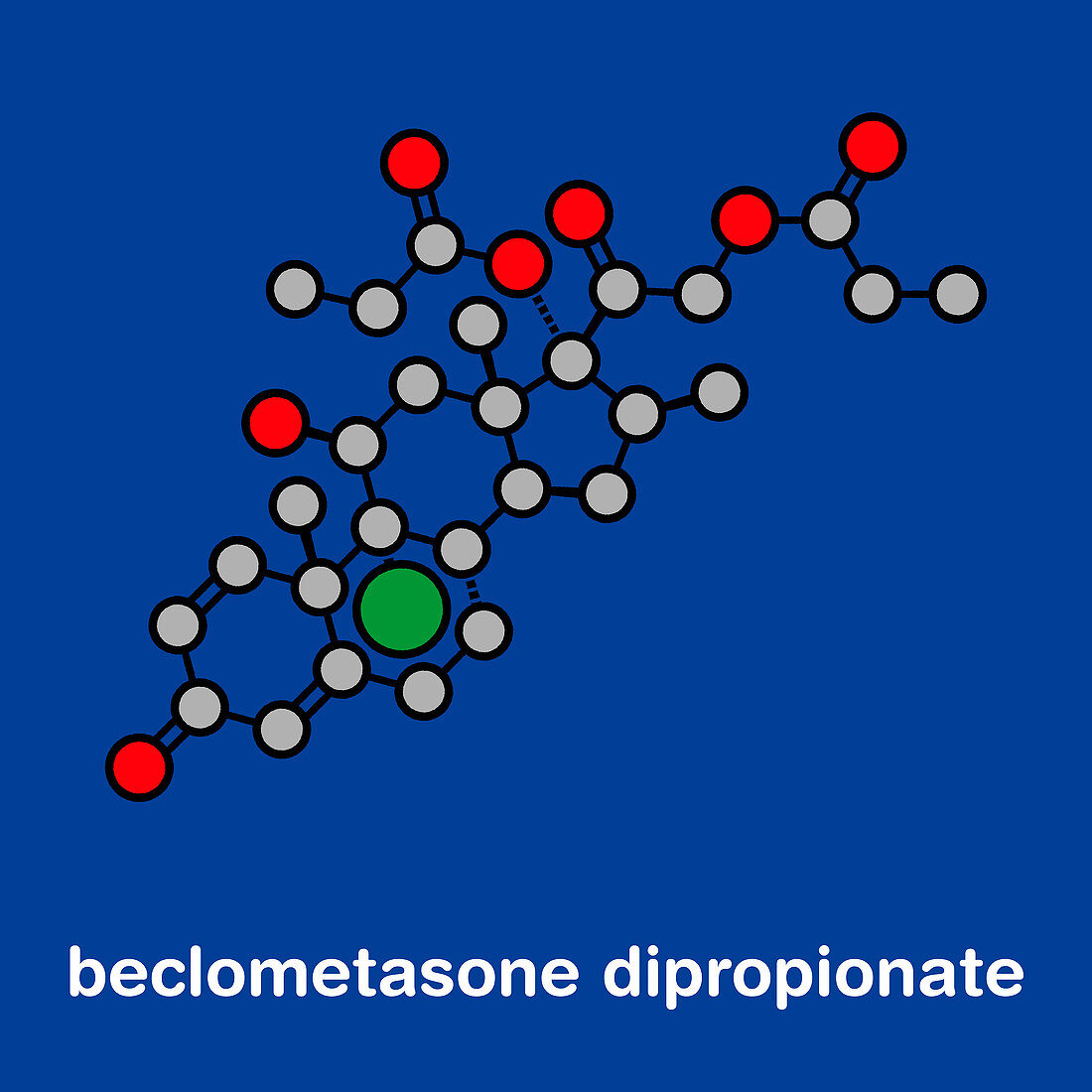 Beclometasone glucocorticoid drug, molecular model