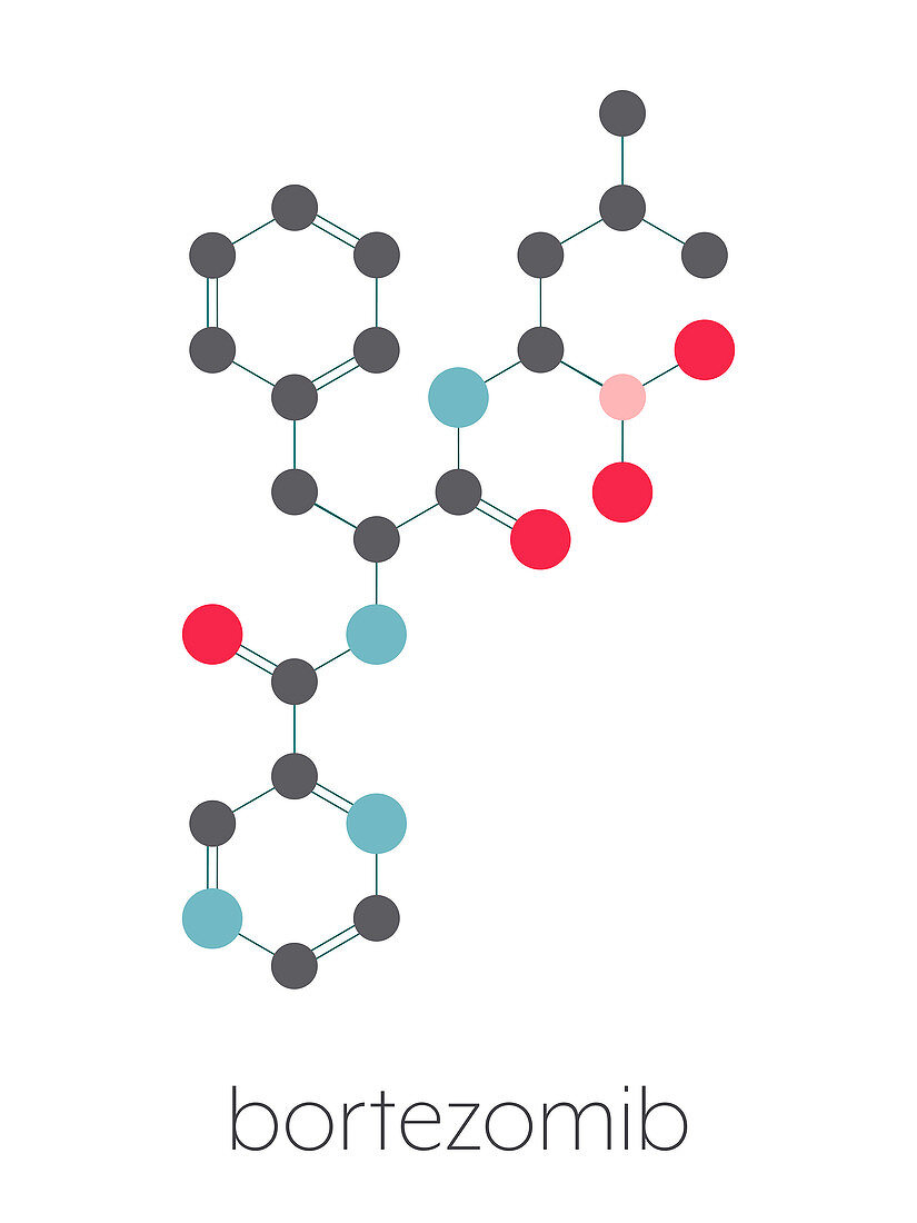 Bortezomib cancer drug, molecular model