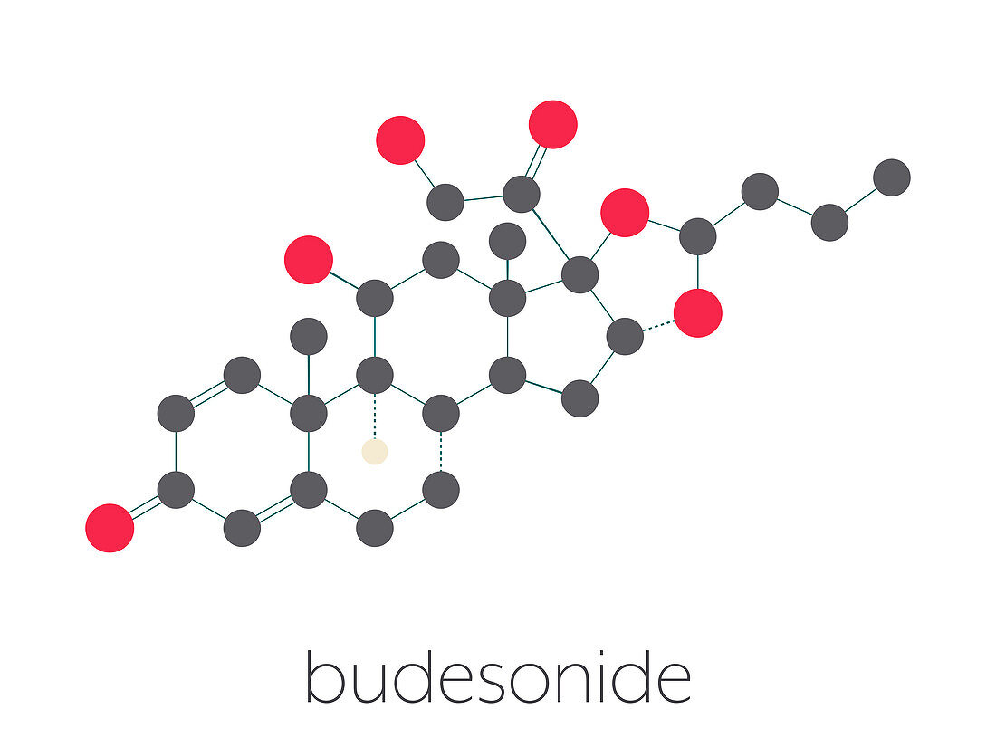 Budesonide corticosteroid drug, molecular model