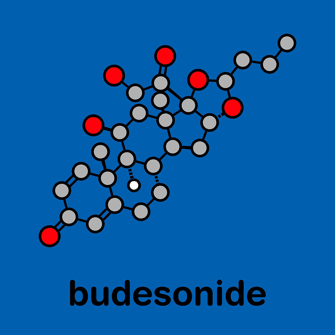 Budesonide corticosteroid drug, molecular model