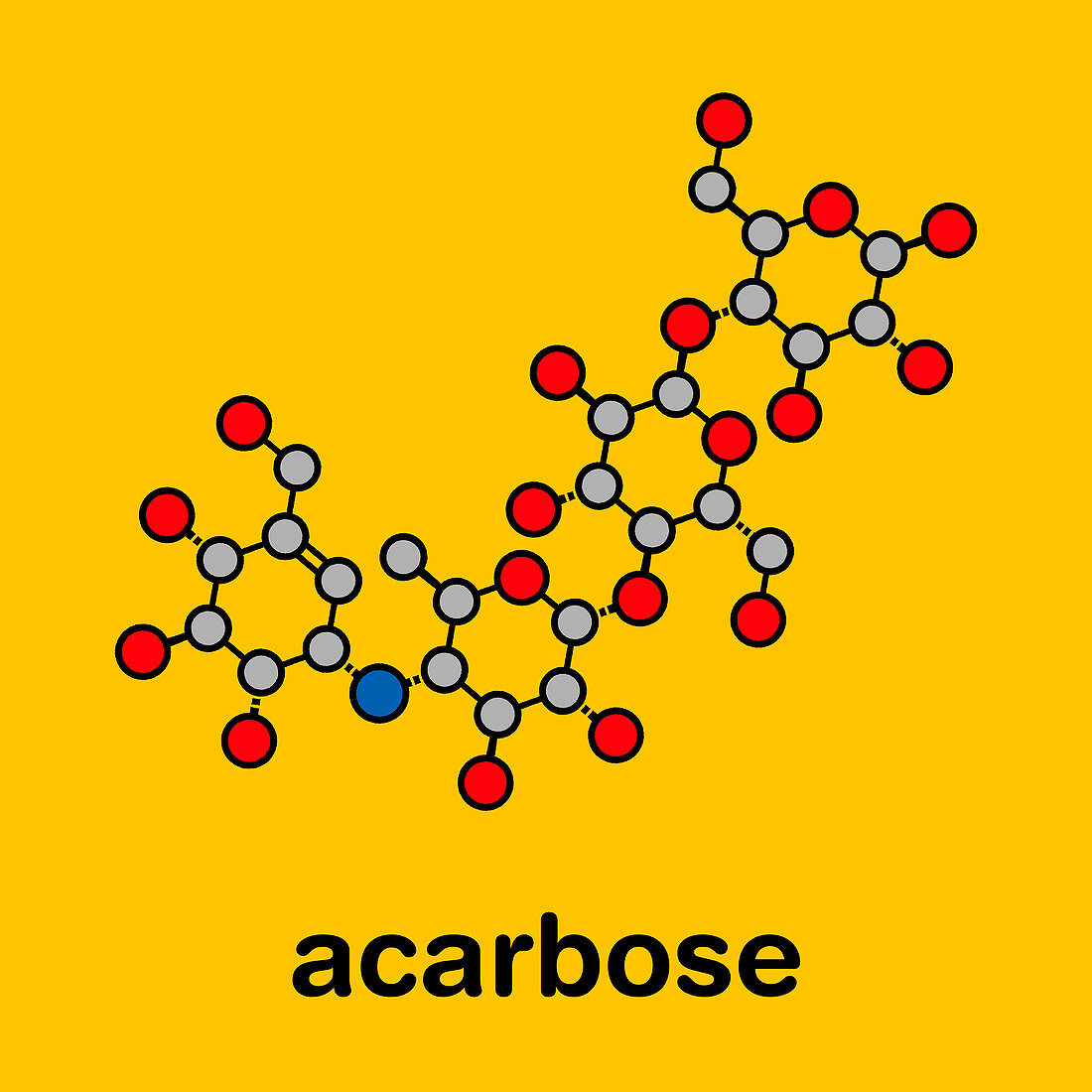 Acarbose diabetes drug, molecular model