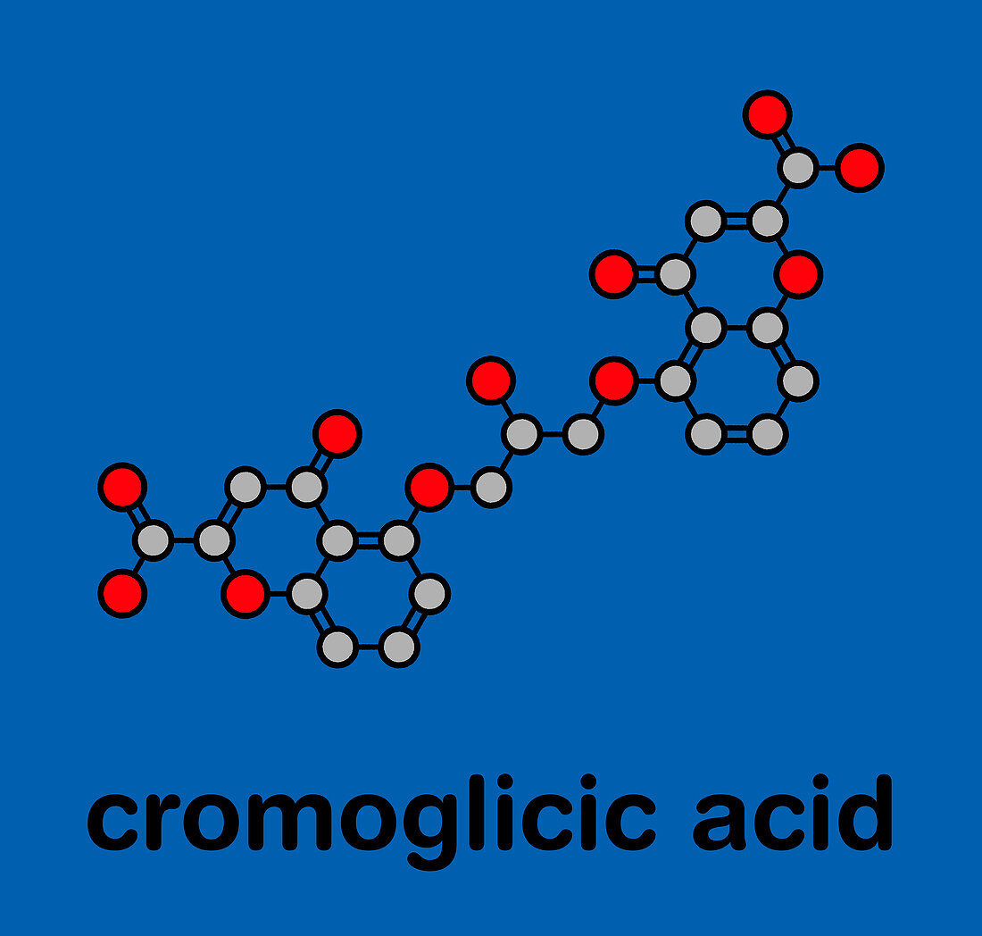 Cromoglicic acid asthma and allergy drug, molecular model