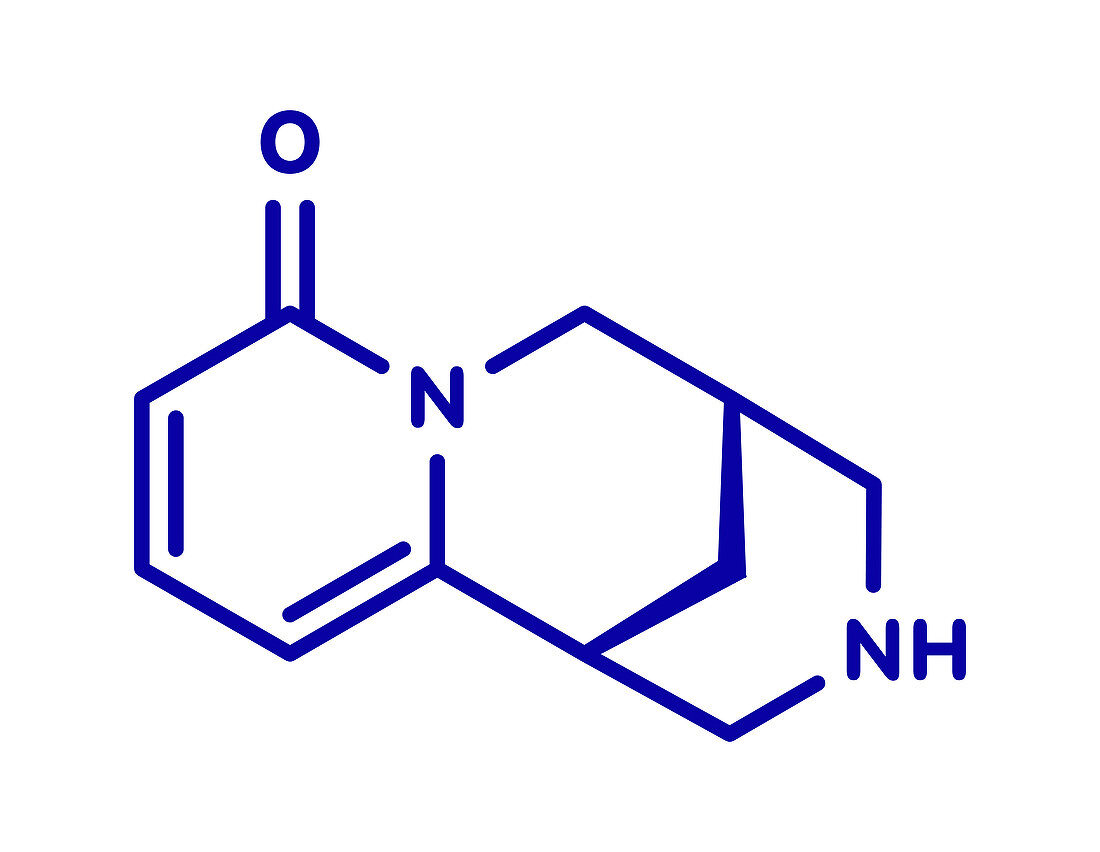 Cytisine smoking cessation drug, molecular model