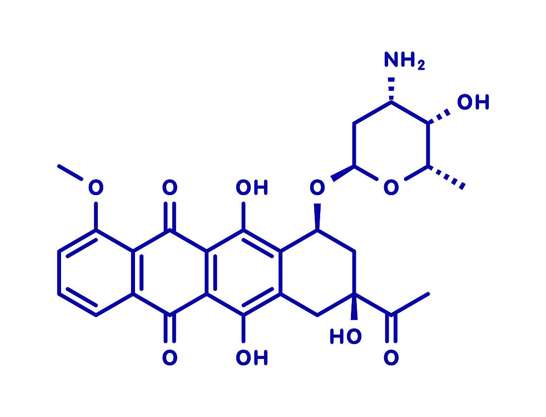Daunorubicin chemotherapy drug, molecular model