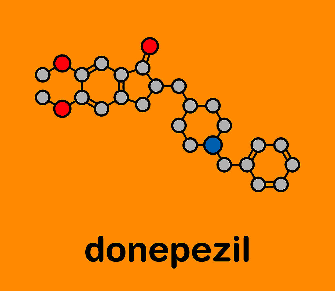 Donepezil Alzheimer's disease drug, molecular model