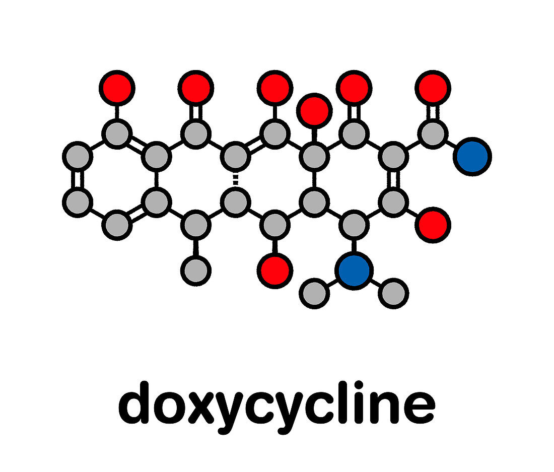 Doxycycline antibiotic drug, molecular model