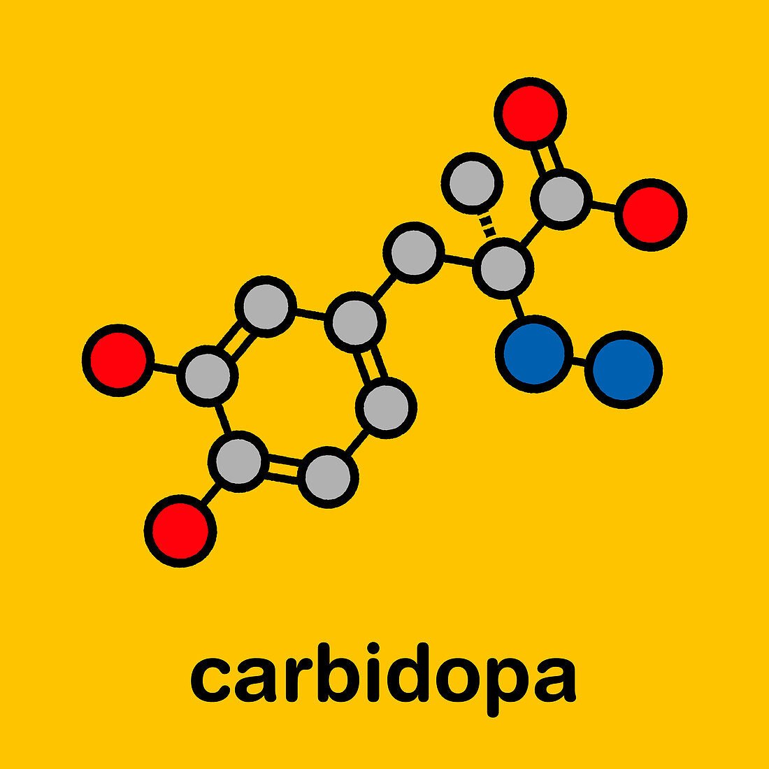 Carbidopa Parkinson's disease drug, molecular model