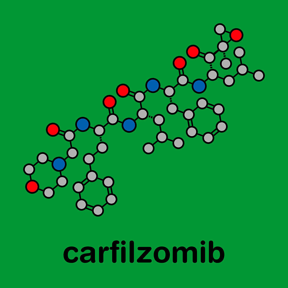 Carfilzomib multiple myeloma cancer drug, molecular model