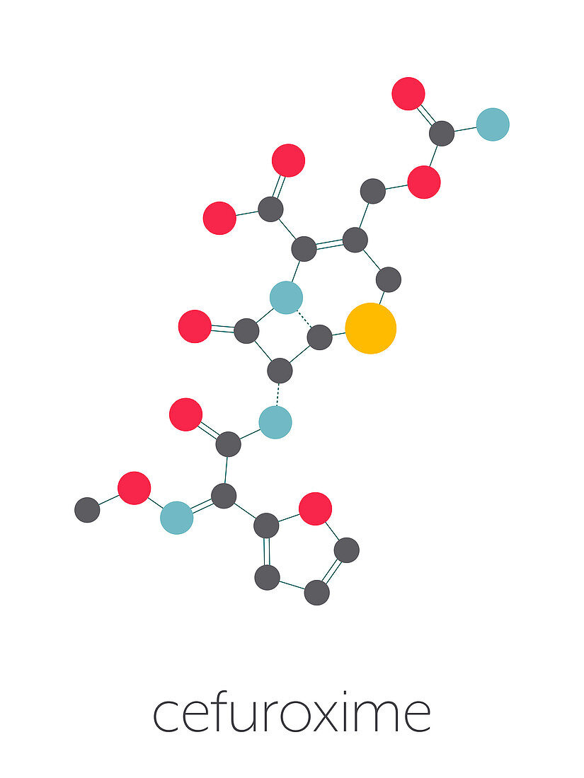 Cefuroxime antibiotic, molecular model
