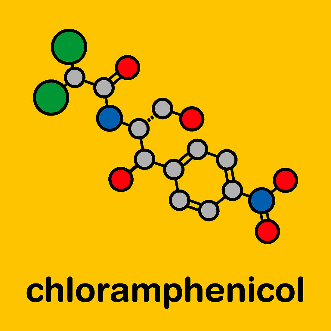Chloramphenicol antibiotic drug, molecular model