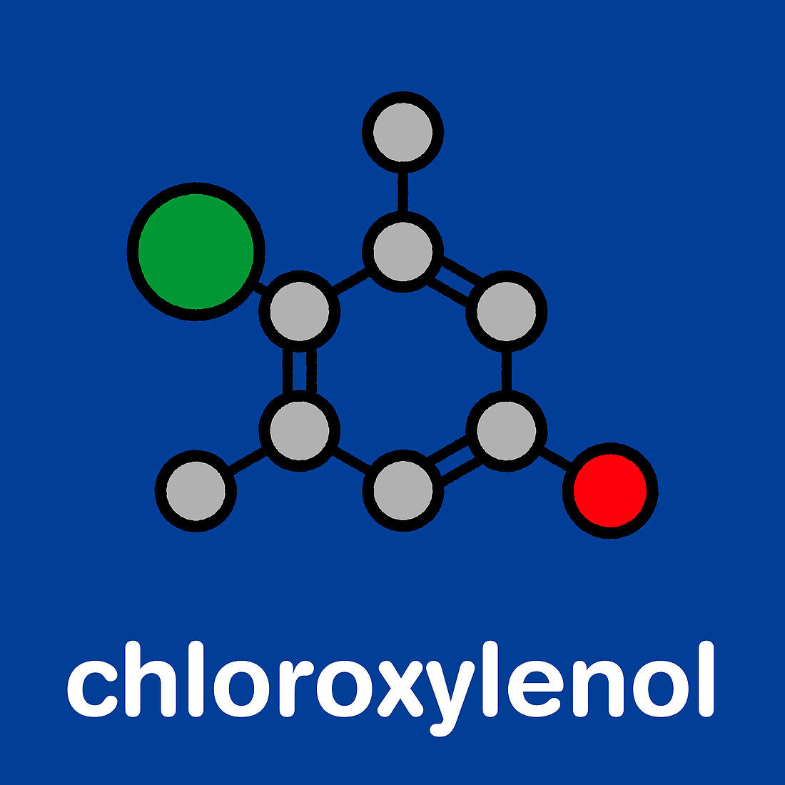 Chloroxylenol antiseptic, molecular model