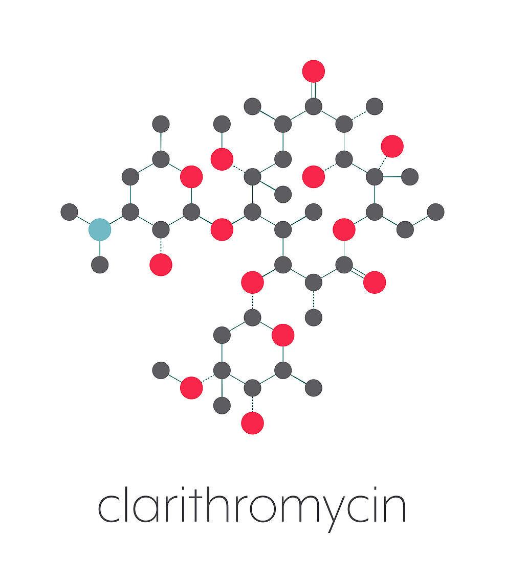 Clarithromycin antibiotic drug, molecular model