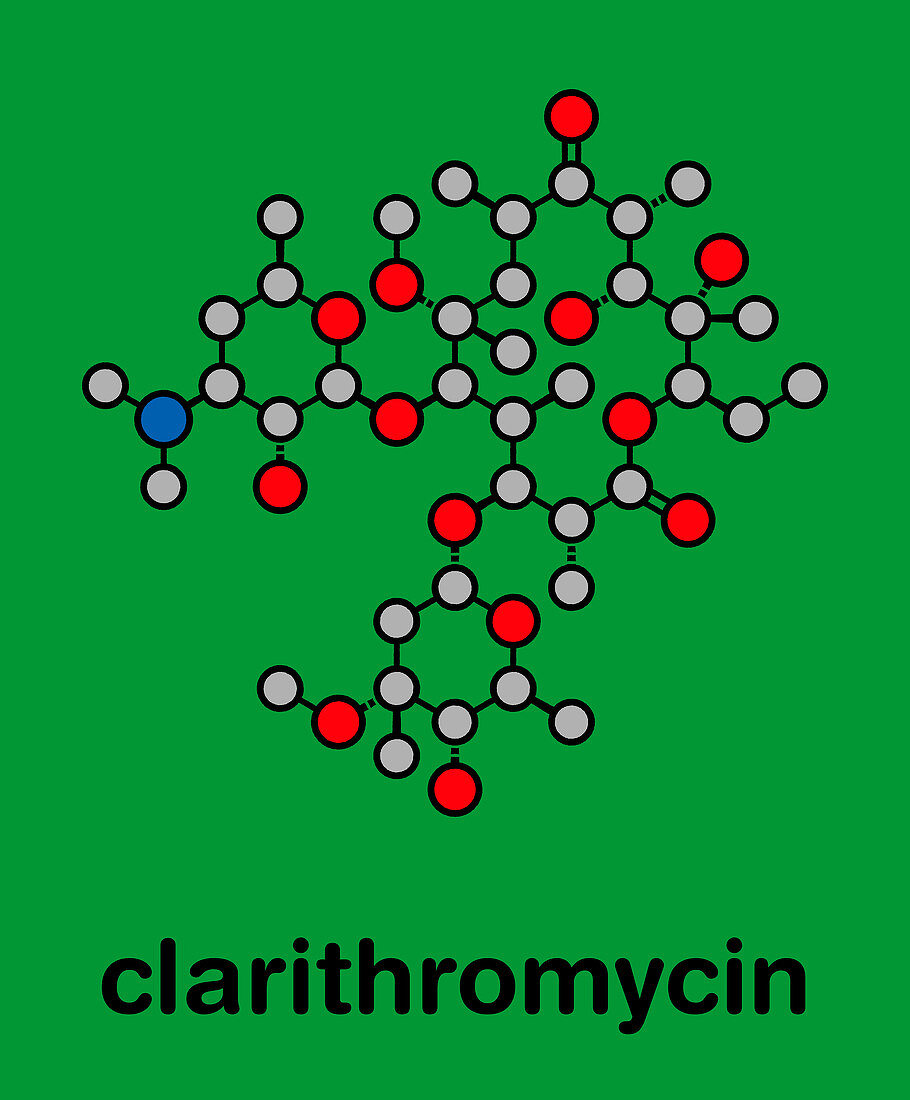 Clarithromycin antibiotic drug, molecular model