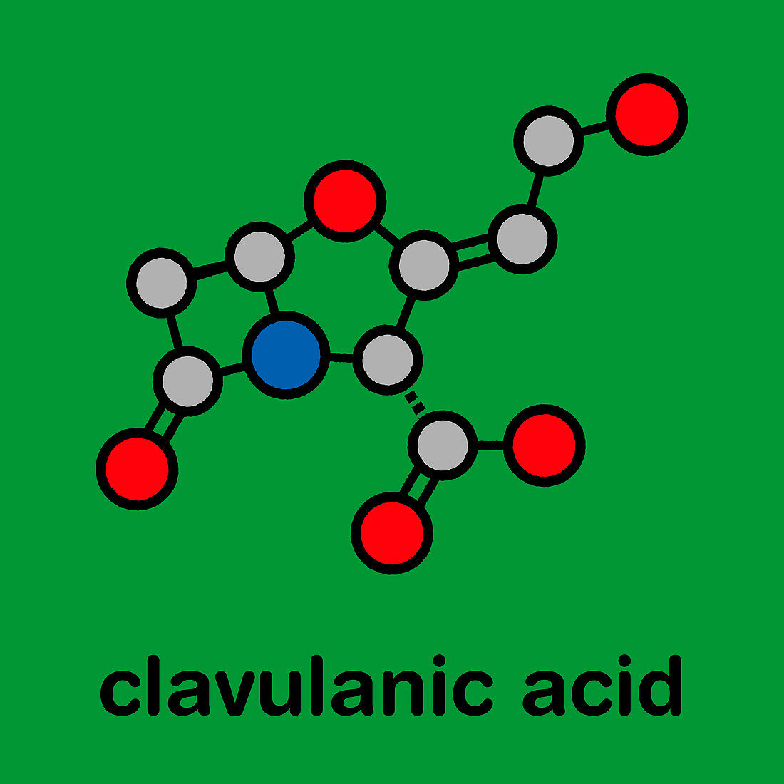 Clavulanic acid beta-lactamase blocker drug, molecular model